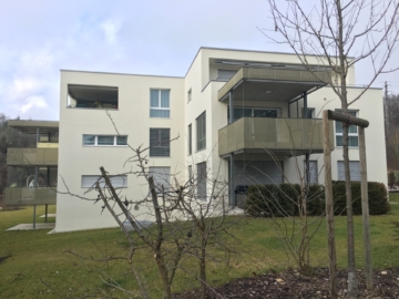 Moderne 3,5 Zimmer Wohnung in Herblingen, 8207 Schaffhausen, Wohnung