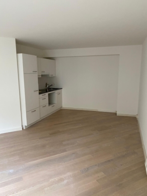 1 Zimmer Wohnung in zentraler Lage, 8200 Schaffhausen, Wohnung