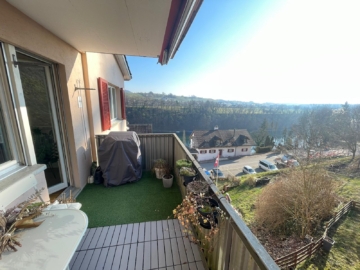 Sanierte 3,5 Zimmer Wohnung mir Rheinblick, 8212 Nohl, Wohnung